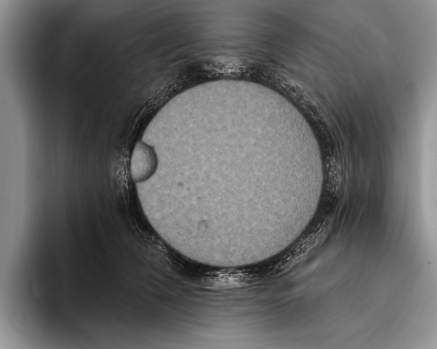 X0000093400612200711091342