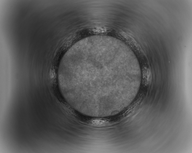 X0000093400614200711091342