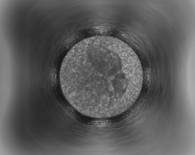 X0000093400615200711091342