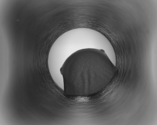 X0000093400617200711091342