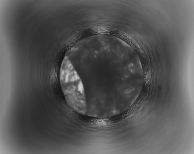 X0000093400618200711091342