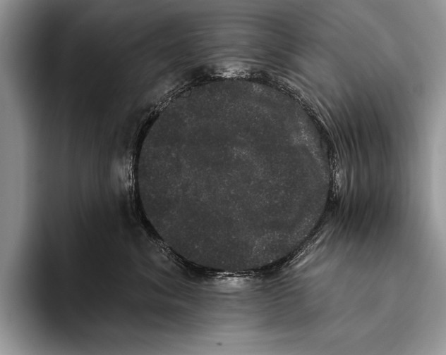 X0000093400620200711091342