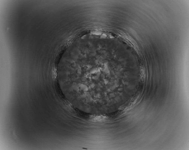 X0000093400621200711091342