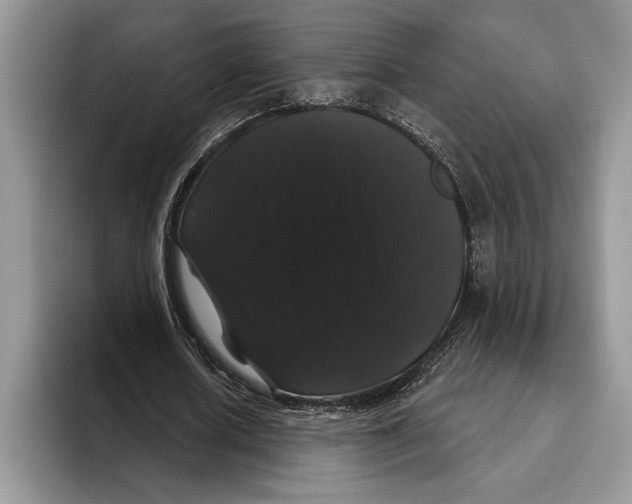 X0000093400626200711091341