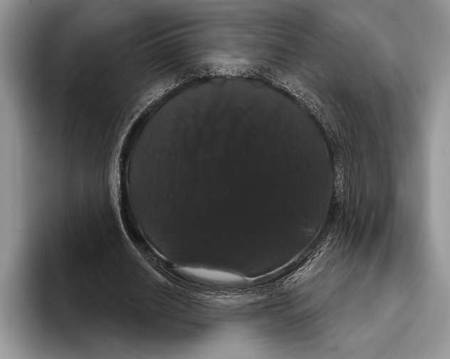 X0000093400630200711091341