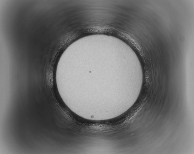 X0000093400633200711091341