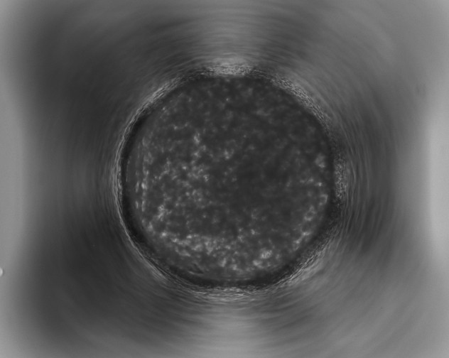 X0000093400634200711091341