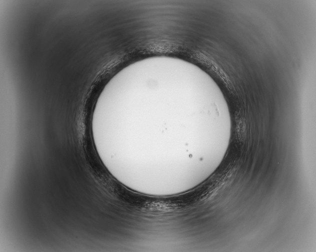 X0000093400635200711091341