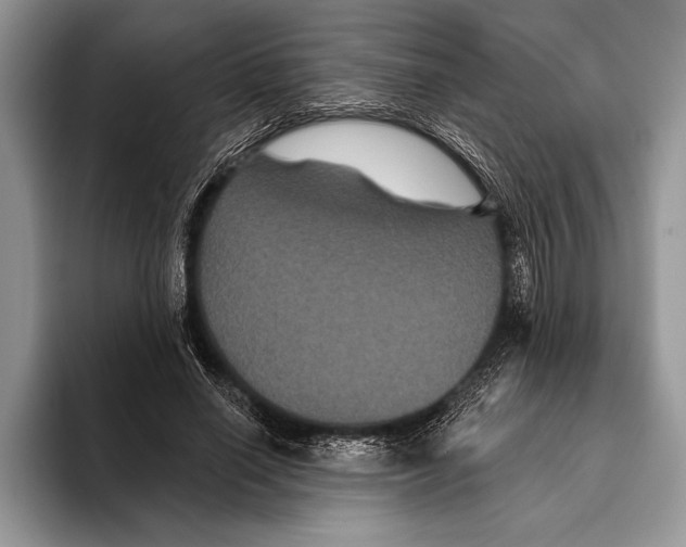 X0000093400638200711091342