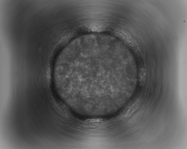 X0000093400639200711091342