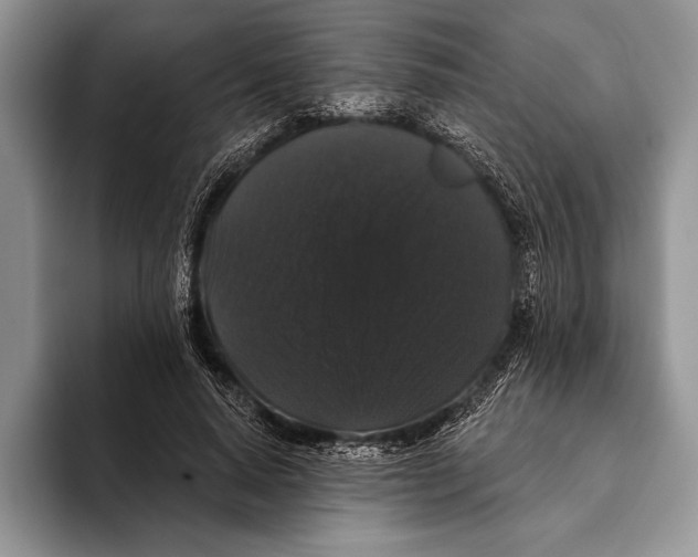 X0000093400640200711091342