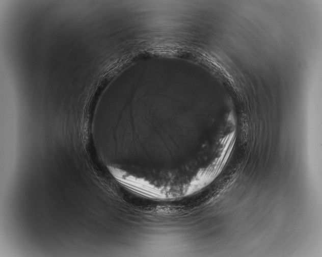 X0000093400641200711091342