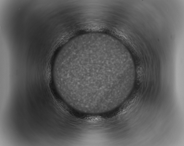 X0000093400642200711091342