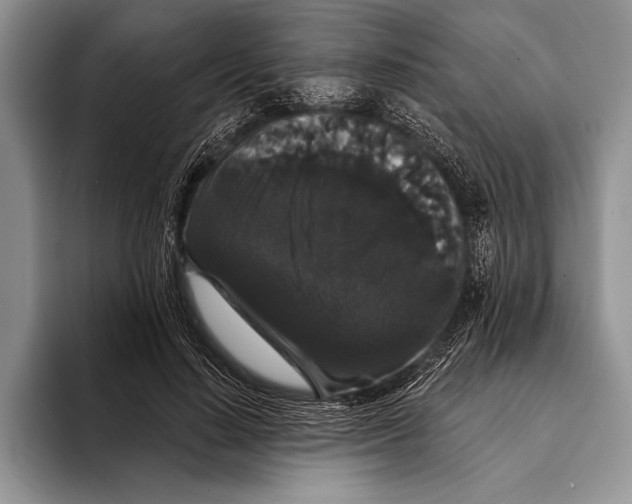 X0000093400644200711091342