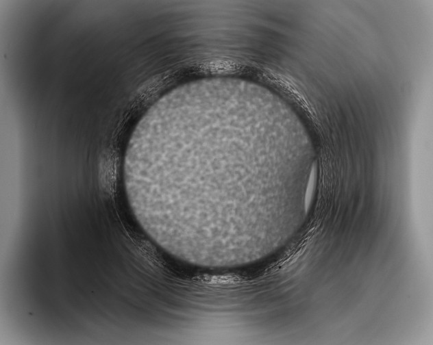 X0000093400645200711091342