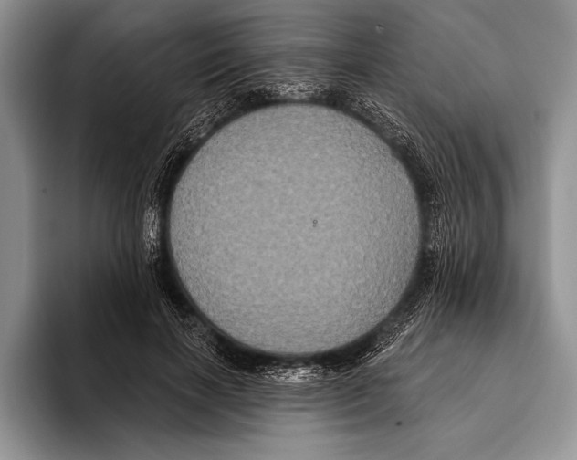 X0000093400646200711091342