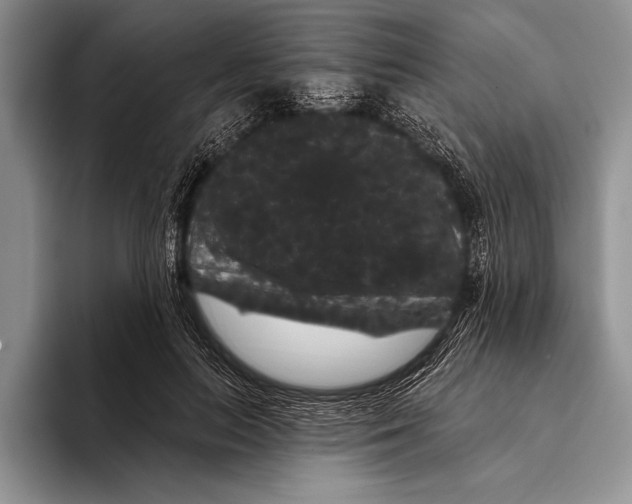 X0000093400647200711091342