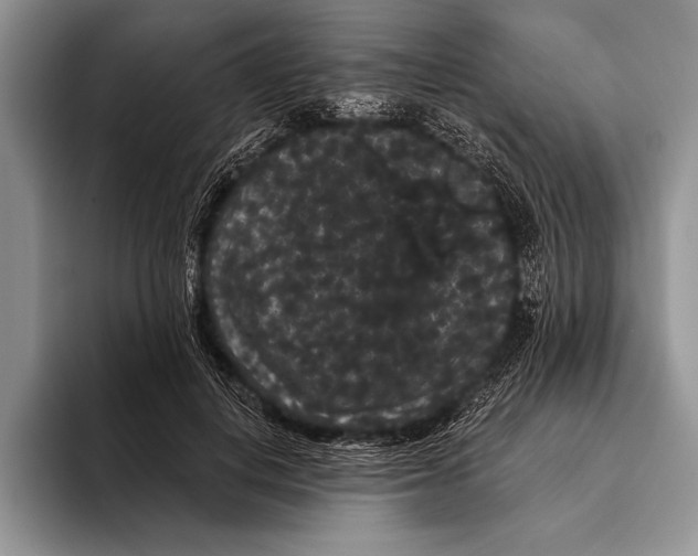 X0000093400648200711091342