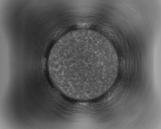 X0000093400649200711091342