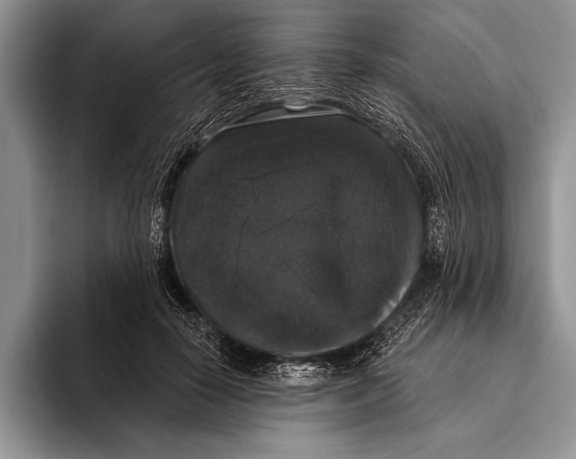 X0000093400650200711091342