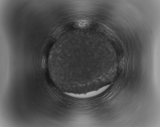 X0000093400651200711091342