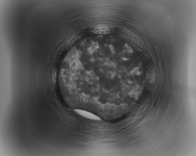 X0000093400652200711091342