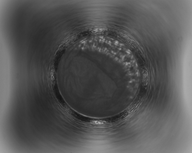 X0000093400654200711091342