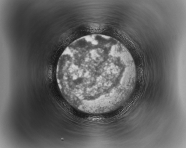 X0000093400655200711091342