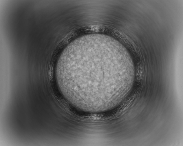 X0000093400656200711091342