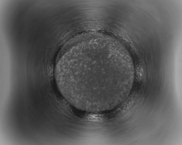 X0000093400657200711091342