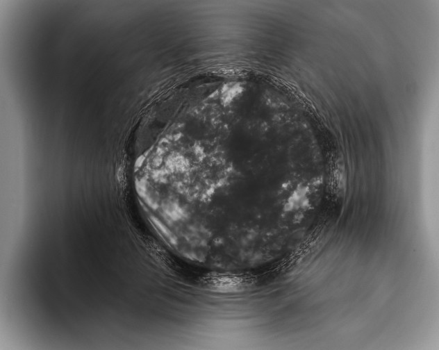 X0000093400658200711091342