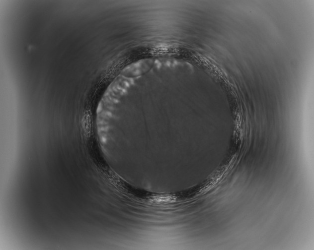 X0000093400659200711091342