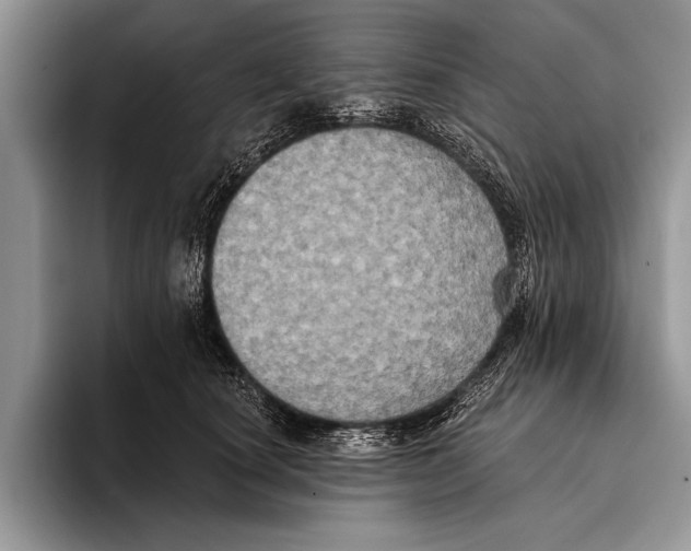 X0000093400660200711091342