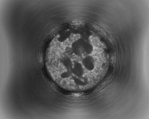 X0000093400662200711091342