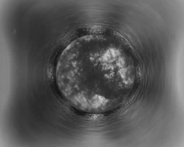 X0000093400663200711091342