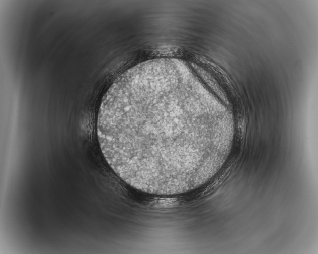 X0000093400665200711091342