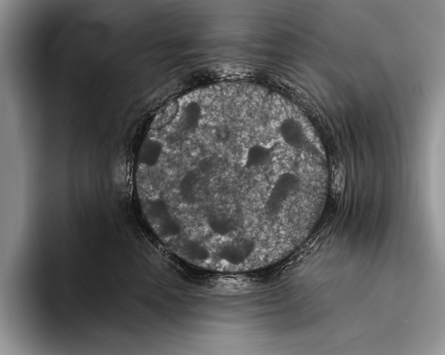 X0000093400666200711091342