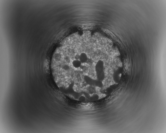 X0000093400667200711091342