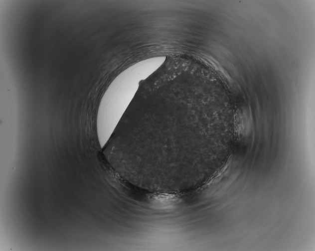 X0000093400669200711091342