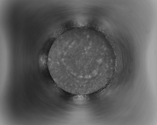 X0000093400672200711091342