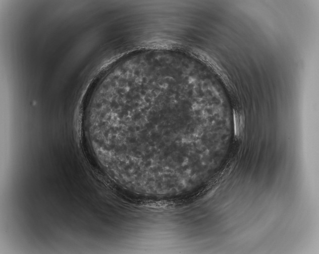 X0000093400675200711091341