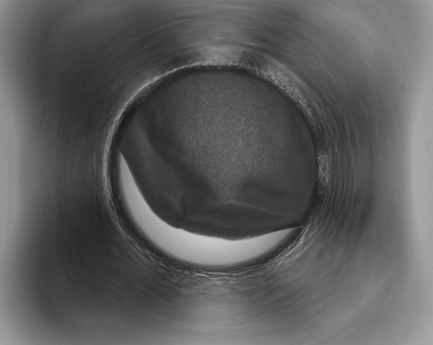 X0000093400676200711091341