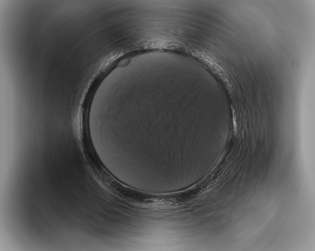 X0000093400678200711091341