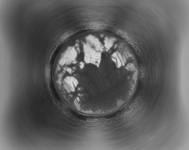 X0000093400679200711091341