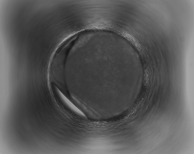 X0000093400680200711091341