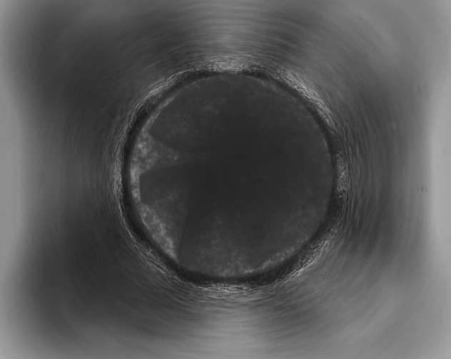 X0000093400681200711091341