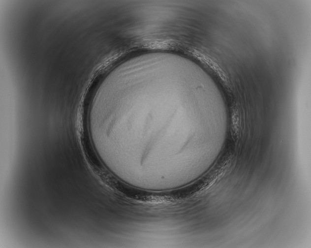 X0000093400682200711091341