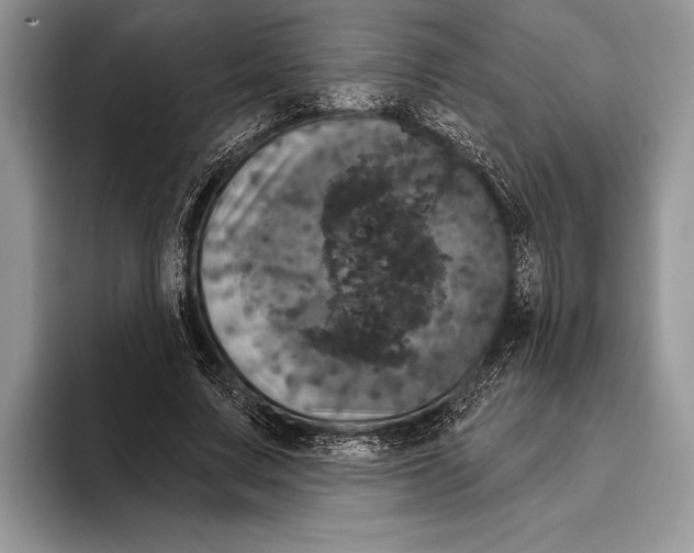 X0000093400683200711091341