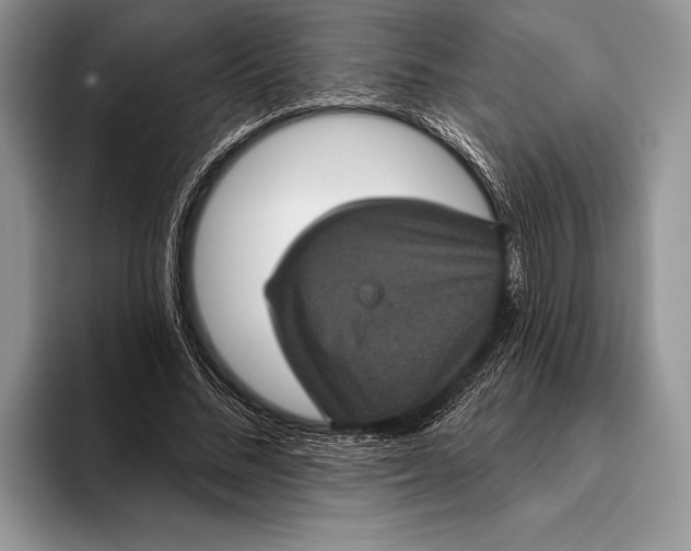 X0000093400684200711091341