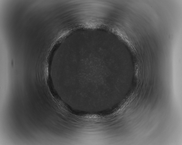 X0000093400685200711091341